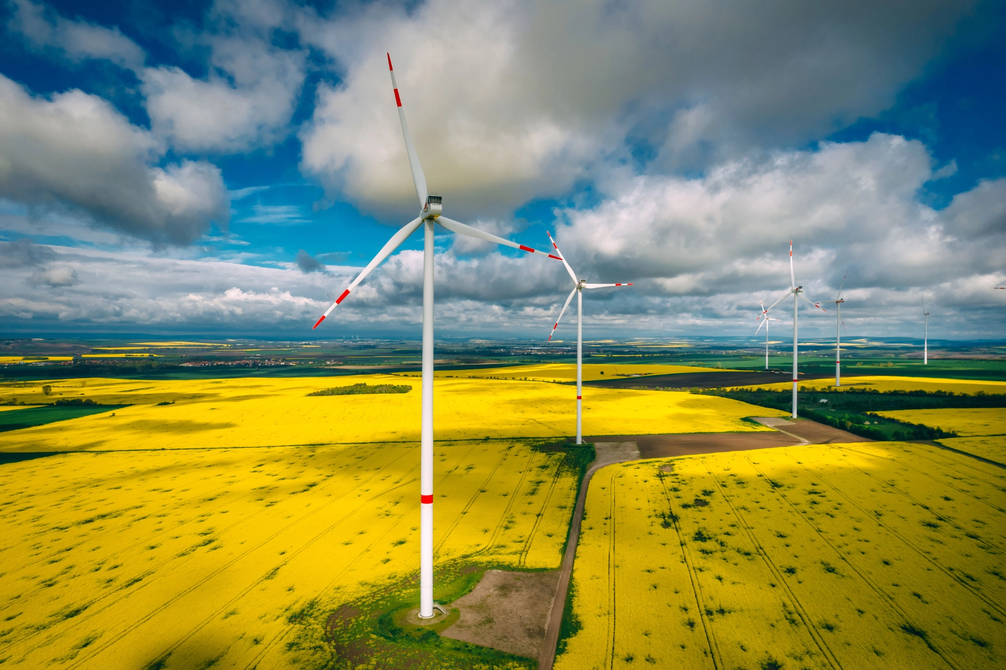 Windräder auf Rapsfeldern bis zum Horizont
