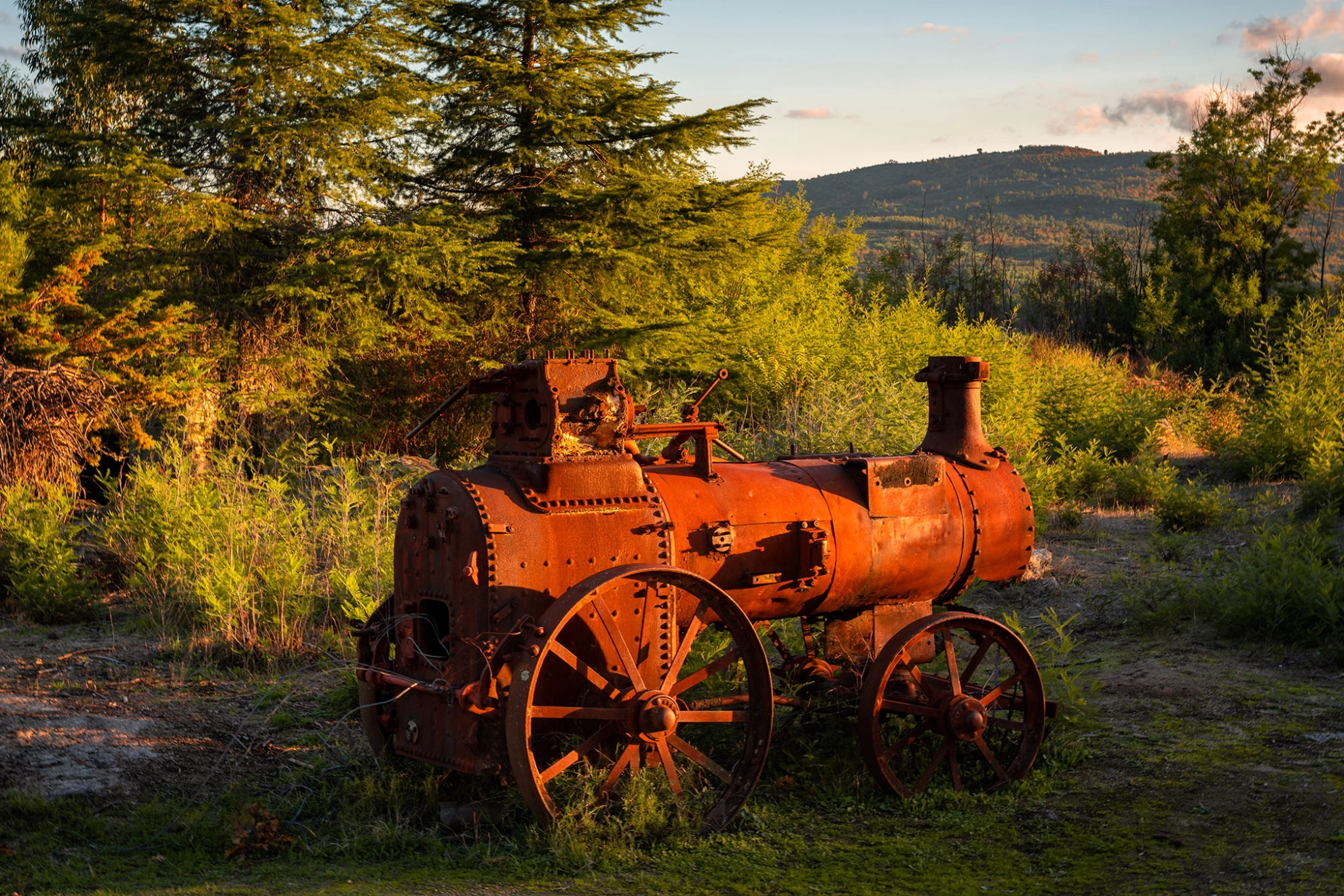 Eine rostige Dampfmaschine steht vergessen inmitten einer idyllischen Landschaft